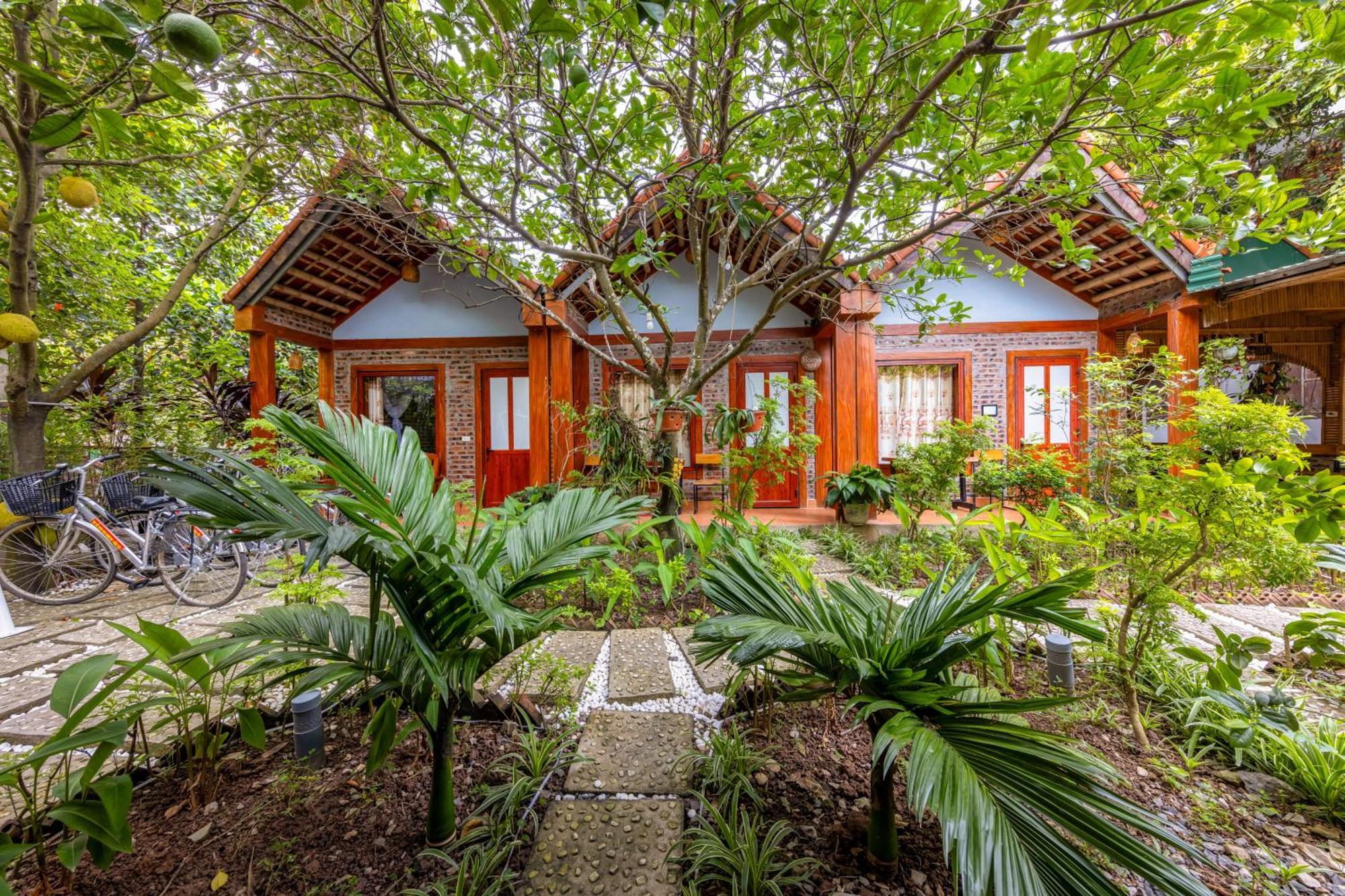 Tam Coc Moonlight Bungalow Van Lam 외부 사진